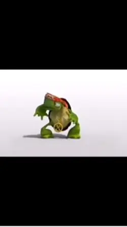 Turtle rap