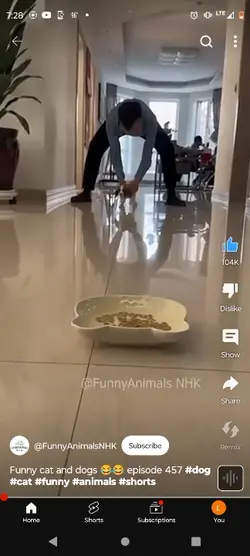 cute animals 