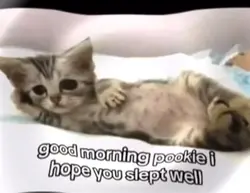 Good morning pookie