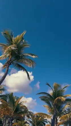 Intro, by lilRTJ 