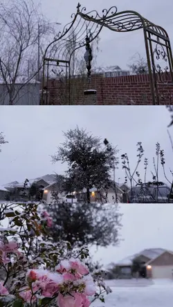 3 shot cinematic 