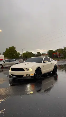 Moostang