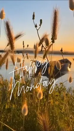 Happy Monday ❤️