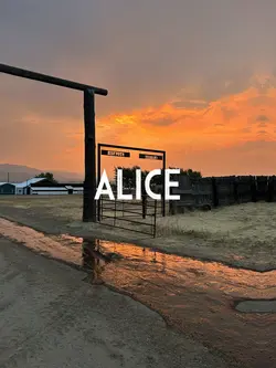 Alice
