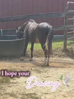 Peanut 🕊️