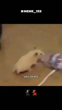 o hamster?