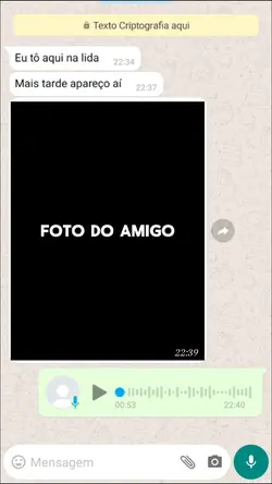gordinho do agro
