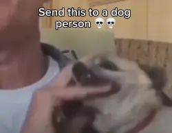 Dog bite