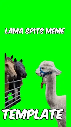 Lama spits meme