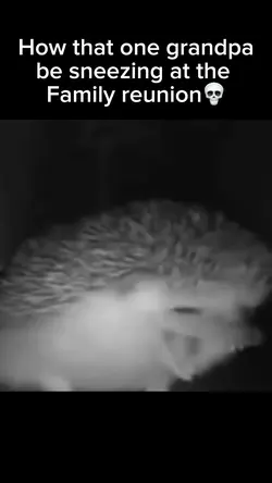 sneezing meme