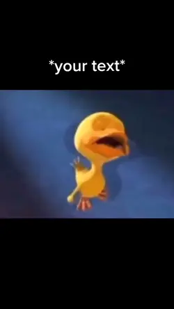 Duck meme