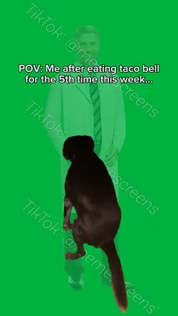 Dog Farting Meme