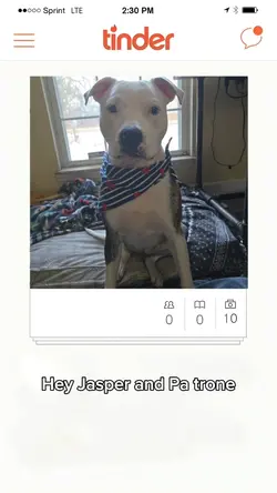 tinder