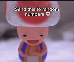 Toad