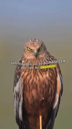 SÓ NÃO PARE!