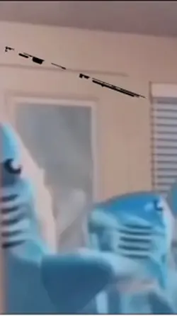 Sharks 