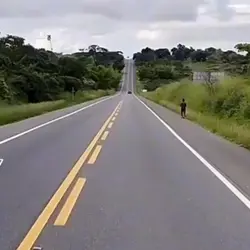 o caminho 