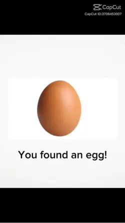 Egg