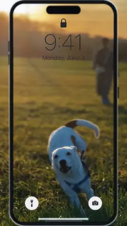 Smartphone
