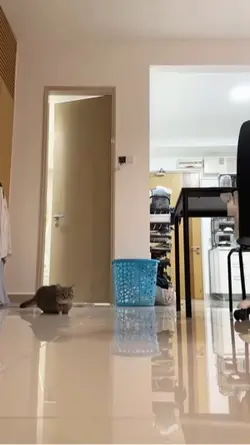 Kitt