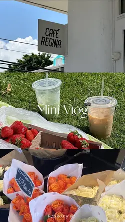 Mini vlog 