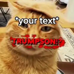 Cat meme