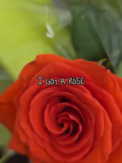 I got a rose 
