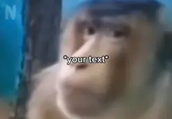 Monkey side eye