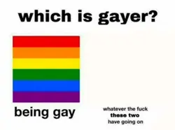 Which is gayer