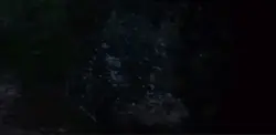 Pll 