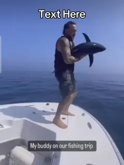 shark meme