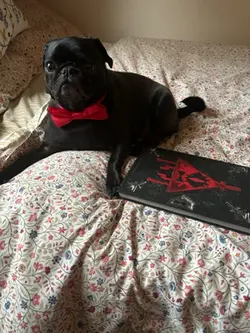 the puppy of pups