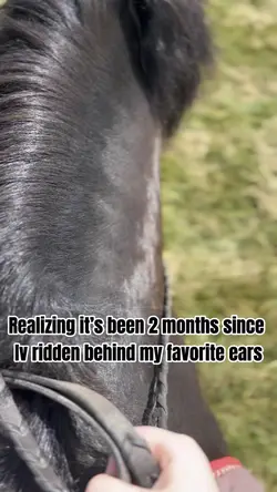 It’s been 2 months 