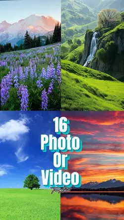 16 Photo or Video 