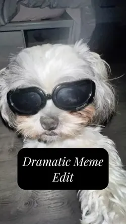 Dramatic meme edit