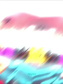 gym velocity