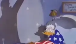 HAIL HI-