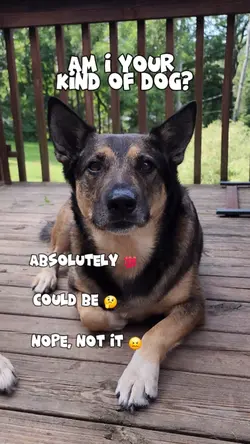 Kind of dog