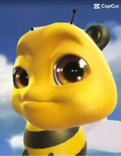 Fr in like 2022-2023