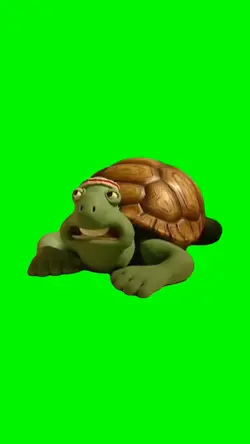 Awkward turtle 