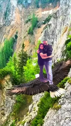 Eagle flying 