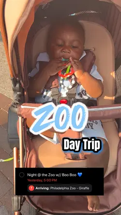 Day Trip 