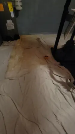 pro paint