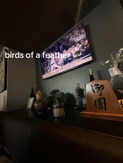 we are dodo birds