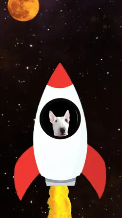 Flying Rocket Ship