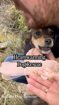 Dog Rescue