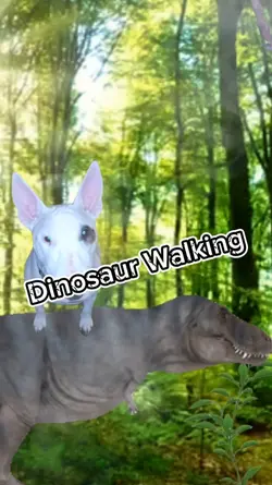 Dinosaur Walking