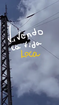 Vivendo la vida loca