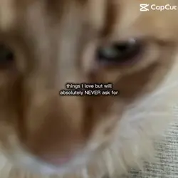 Heheh 