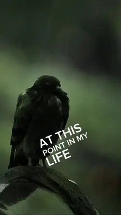 this point in my lif